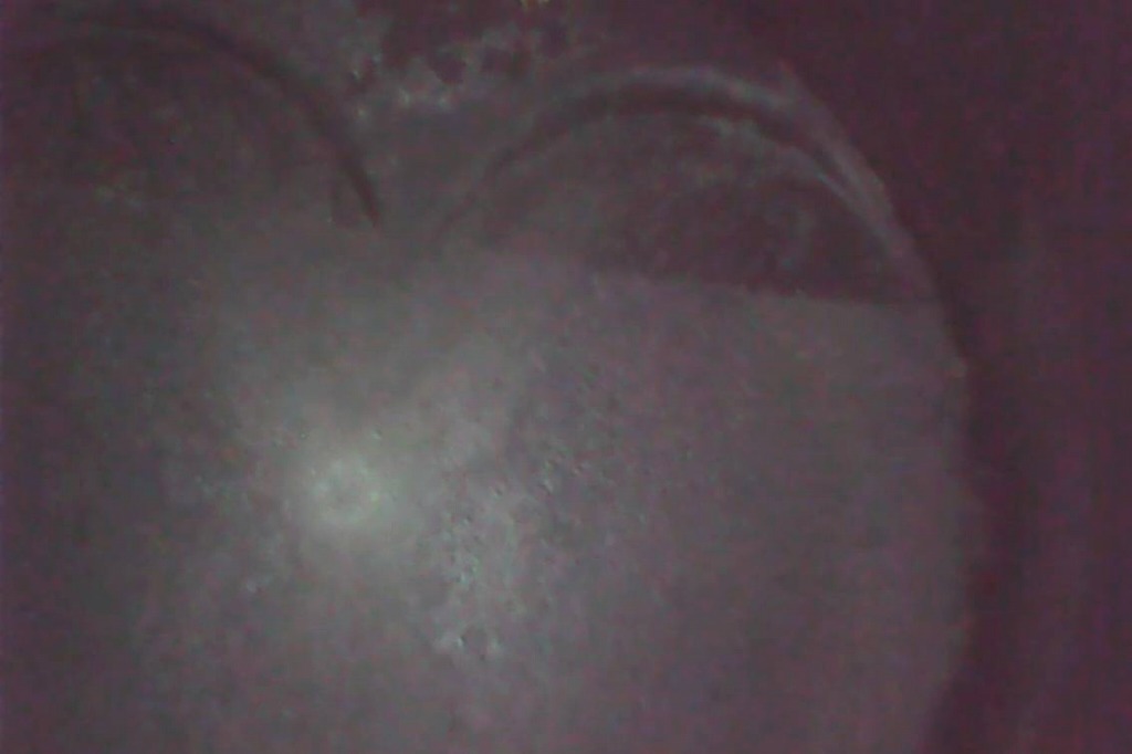 Ga 01 ガソリン添加剤の効果を目視してみた Yguchi Blog