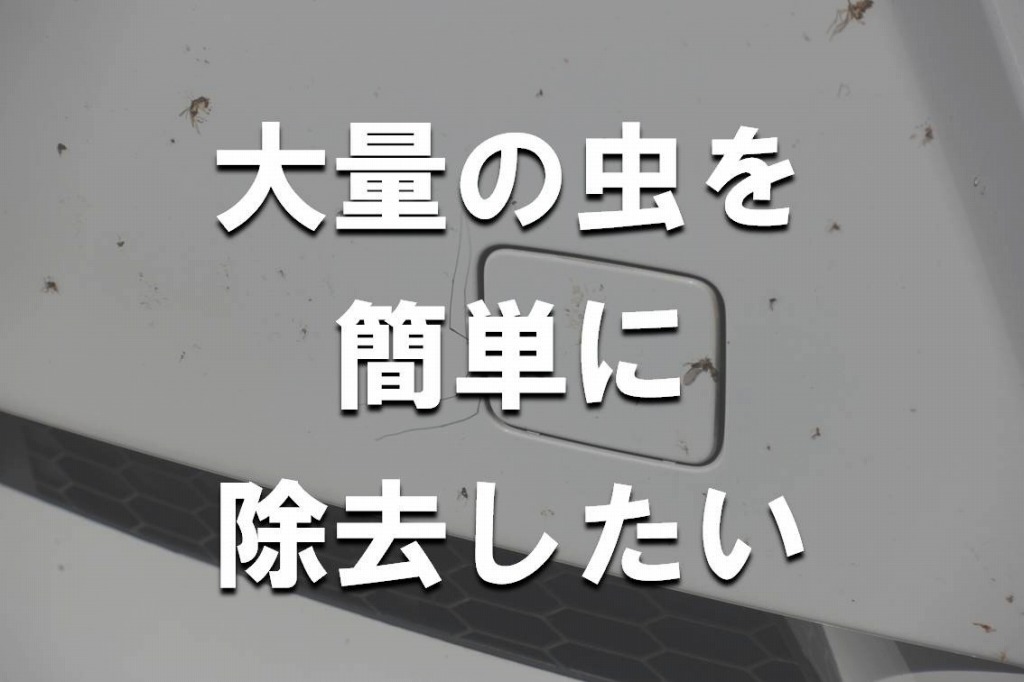 バンパーにこびりついた大量の虫汚れを除去してみた | Yguchi blog